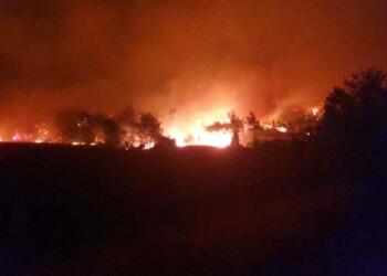 Yangına müdahaleye giden araç devrildi: 1 işçi öldü