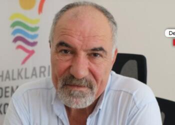 Şenoğlu: Öcalan sosyalizme yeni bir kapı açıyor