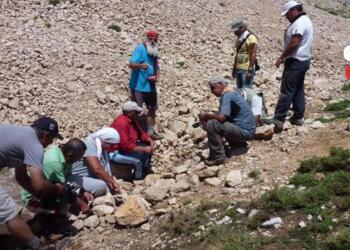Zini Gediği’nde 87 yıl sonra aynı talep: Kemiklerimizi istiyoruz