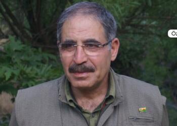 Muzaffer Ayata: Önder Apo savaşın önünü alıyor