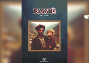 Bir ilk roman: Nayê