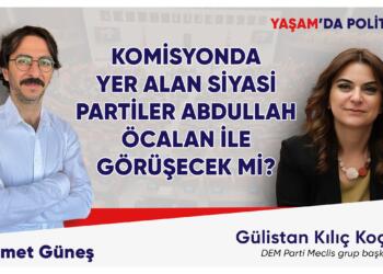 Komisyon neler yapacak?