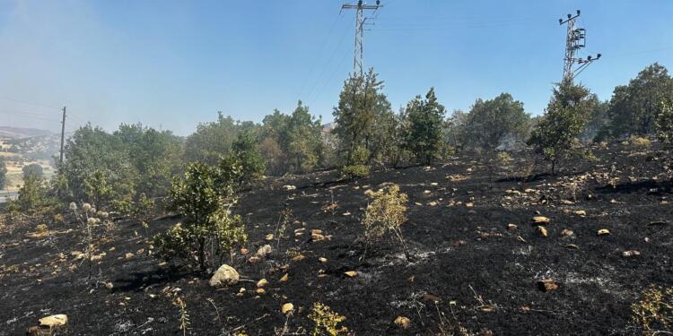 Licê’deki yangın kontrol altına alındı