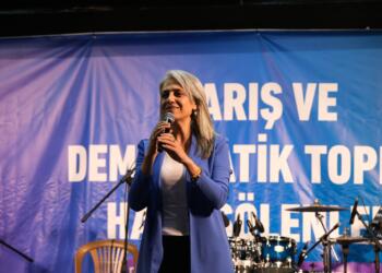 Çiğdem Kılıçgün Uçar: Komisyondaki partiler süreci sahiplenmeli