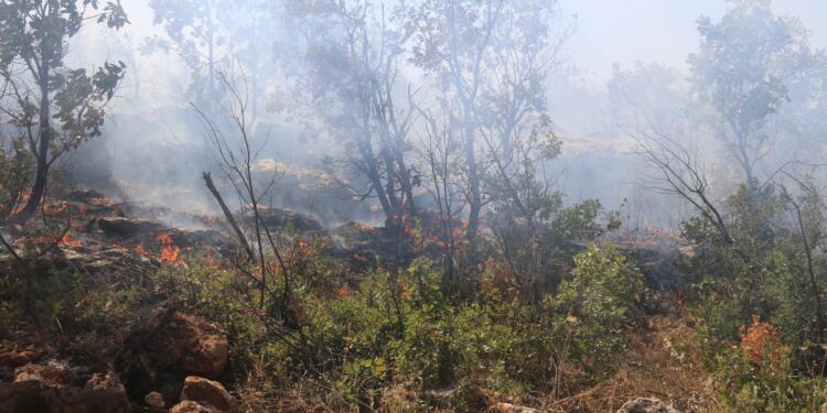 Licê’de yeniden çıkan yangın söndürüldü