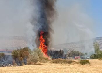 Licê’de tarım arazisindeki yangın kontrol altına alındı
