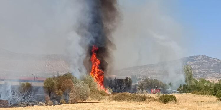 Licê’de tarım arazisindeki yangın kontrol altına alındı