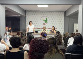 DBP Kadın Meclisi: Kadına yönelik şiddet politiktir