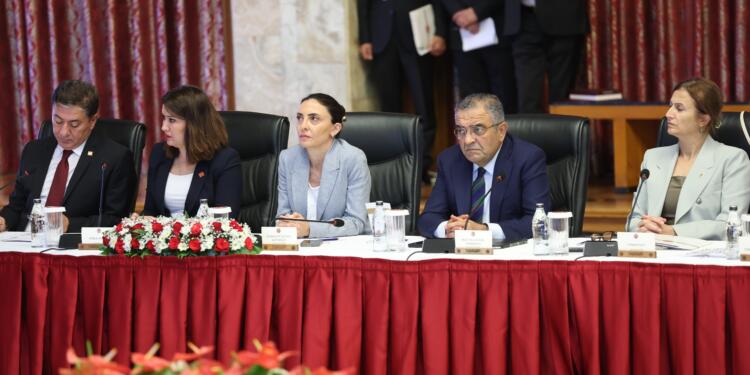 Komisyonun çalışma usul ve esaslarına ilişkin 12 maddelik taslak sunuldu