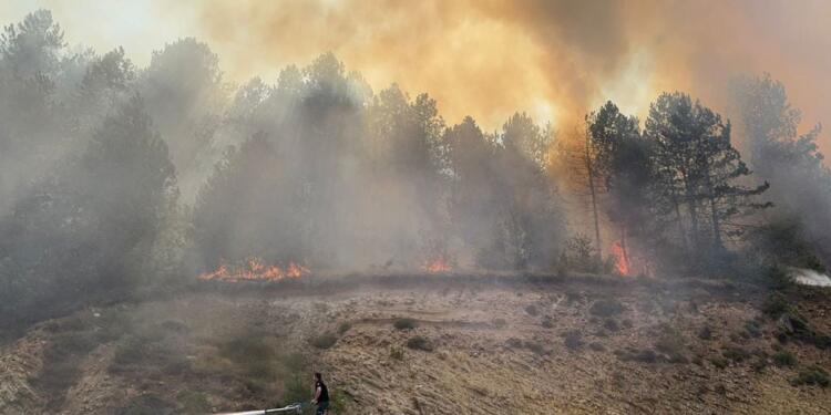 Bolu’da ormanlık alanda yangın