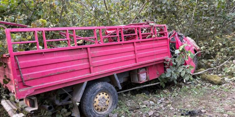 Giresun’da kamyonet devrildi: 4 kişi hayatını kaybetti