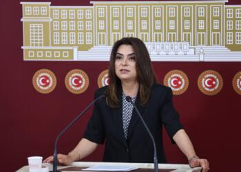 Koçyiğit: Komisyonun şeffaf yürütülmesi önemlidir