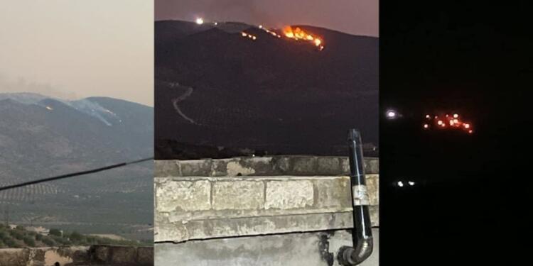 Efrîn’de orman yangını