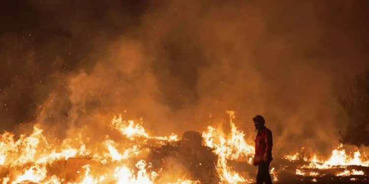 İspanya’da orman yangınları: 7 kişi öldü, 157 bin hektarlık alan kül oldu