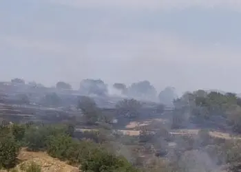 İzmir ve Uşak’ta yangın