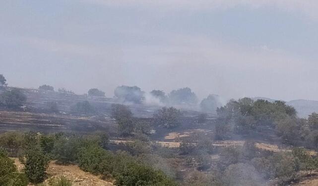 İzmir ve Uşak’ta yangın