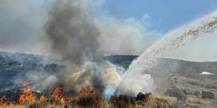 İzmir’de 2 bölgede yangın