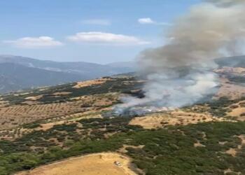 Muğla ve Aydın’da yangın
