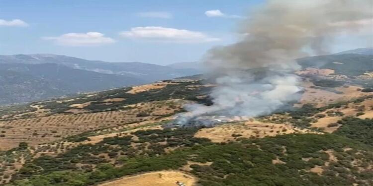 Muğla ve Aydın’da yangın