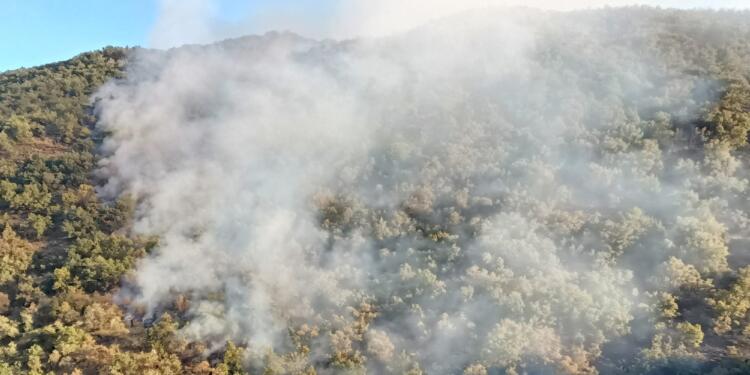 Meletî’de ormanlık alanda yangın çıktı