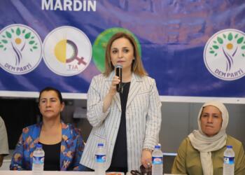 Doğan: Komisyon Öcalan ile görüşmeli