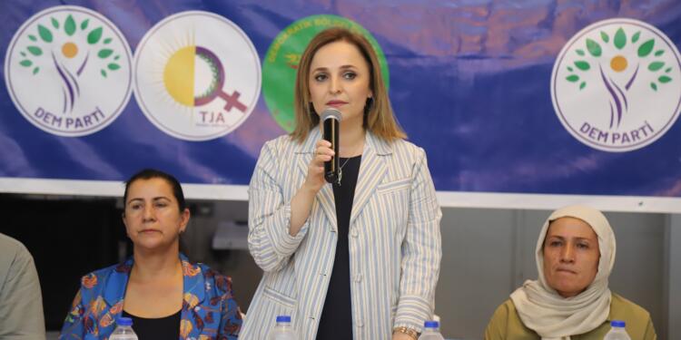 Doğan: Komisyon Öcalan ile görüşmeli