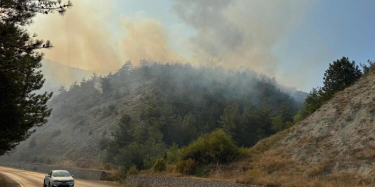 Karabük’te orman yangını