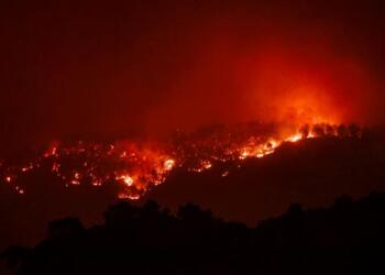 Mersin ve Hatay’da orman yangını