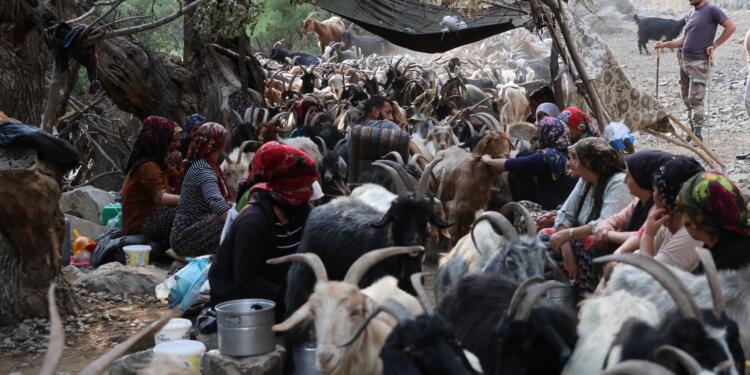 Berîvanların talebi onurlu barış