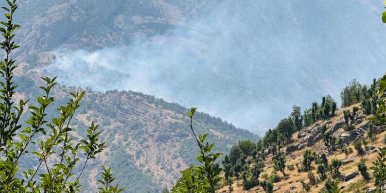 Elkê’de yangın: Müdahale sürüyor