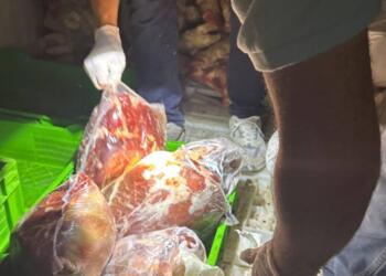 Şirnex’te 3 bin 112 kilo et imha edildi