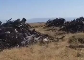 1 Ekim’den bu yana Kürdistan’da ekokırım sürüyor