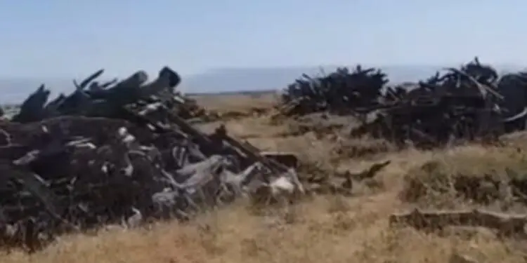 1 Ekim’den bu yana Kürdistan’da ekokırım sürüyor