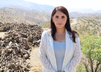 Ağaç kıyımını yerinde inceledi: Sömürgeci politikanın yansıması