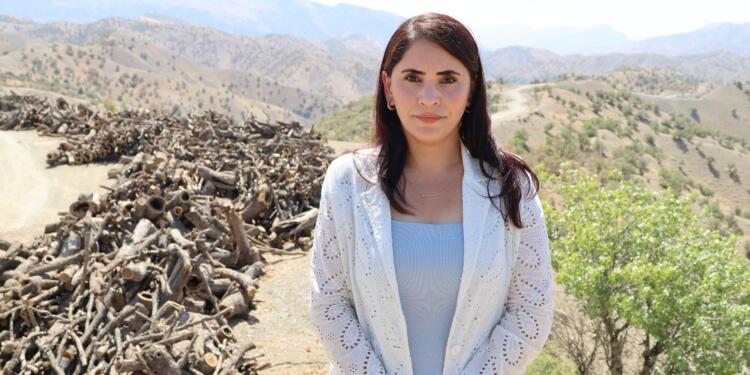 Ağaç kıyımını yerinde inceledi: Sömürgeci politikanın yansıması