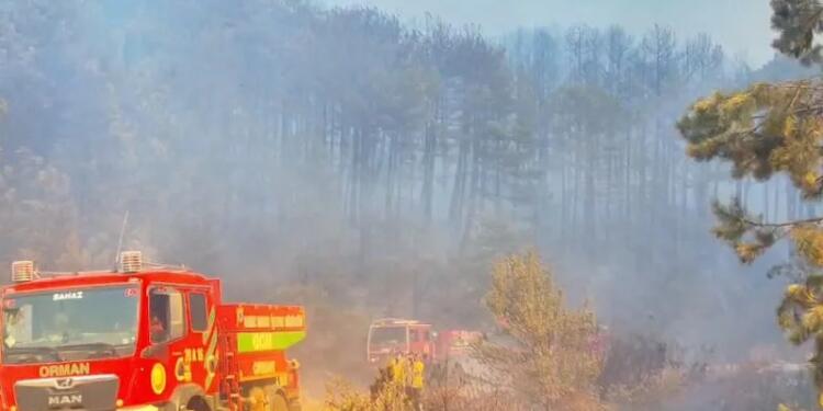 Uşak’ta orman yangını büyüyor