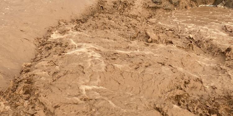 Wan’ın iki ilçesinde sel: Kayyım yönetimi önlem almadı