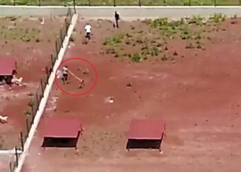 Belediye barınağında köpeklere şiddet dronla görüntülendi