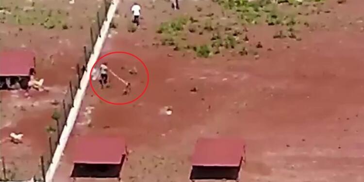 Belediye barınağında köpeklere şiddet dronla görüntülendi