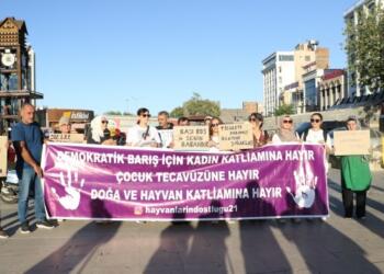 Hayvan Hakları Birlik Hareketi: 7527 Sayılı Kanun çözüm değil, vahşet getiriyor