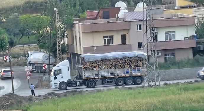 Valilik ‘durduruldu’ demişti: Gabar’da ağaç kesimi sürüyor