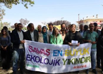 Wan’da ağaç kıyımına tepki