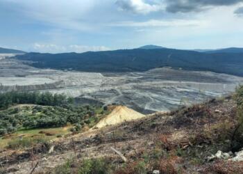 Av. Cangı: Akbelen durdurulamazsa tüm zeytinlikler talan edilecek