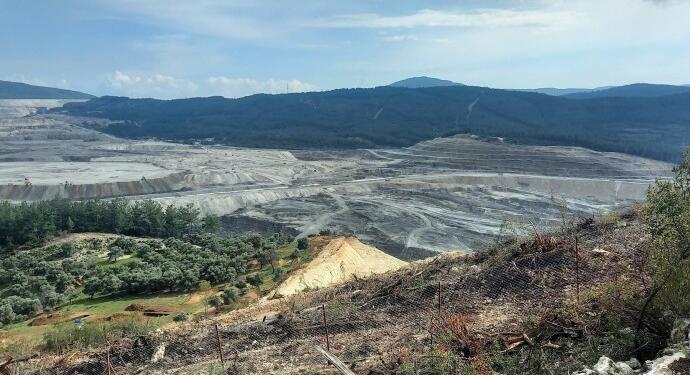Av. Cangı: Akbelen durdurulamazsa tüm zeytinlikler talan edilecek