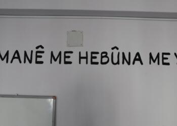 Milyonlarca öğrenci bu yıl  da okula anadilden yoksun başlıyor