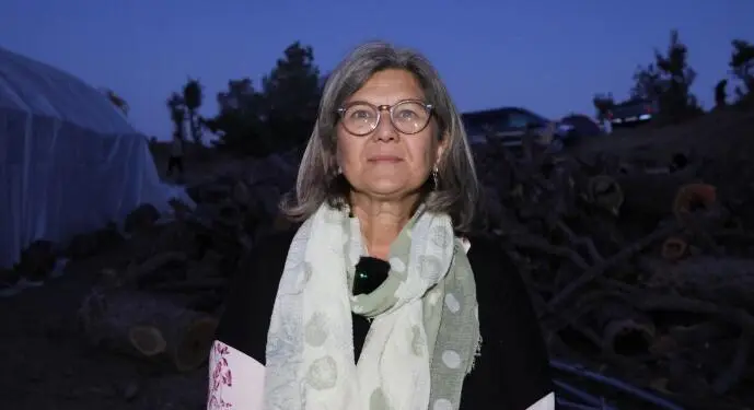 Kaz Dağları’ndan Besta’ya: Hep birlikte eko-kırımın önüne geçebiliriz