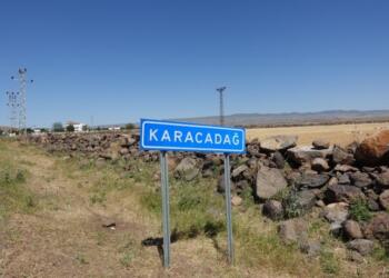 Sêwereg’de en az 11 genç intihara sürüklendi