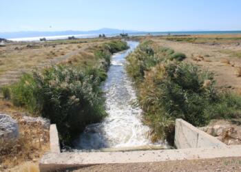Wan Gölü’ne saniyede bin 800 litre lağım suyu karışıyor