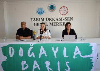 Ekoloji örgütleri: Doğa tahribatıyla yüzleşemeden barış sağlanmaz