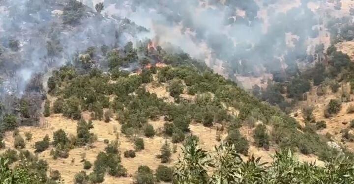 Şemzinan’da yangın üç gündür sürüyor